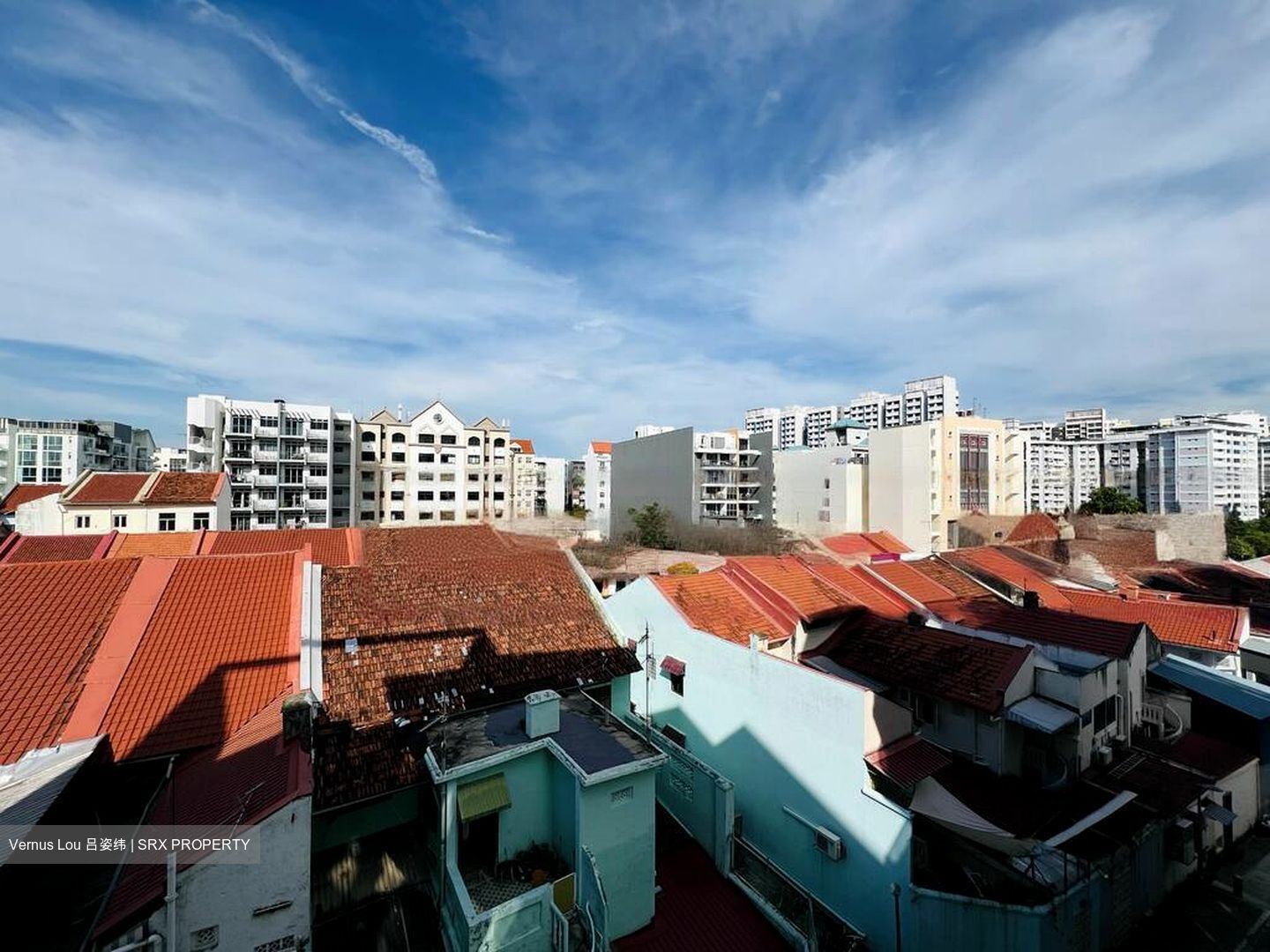 Edenz Loft (D14), Apartment #458666451